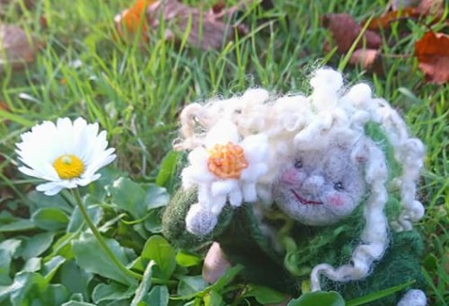 Bellis-kl-