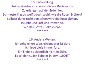 DK.15,16-Shop-Text-