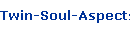 Twin-Soul-Aspects